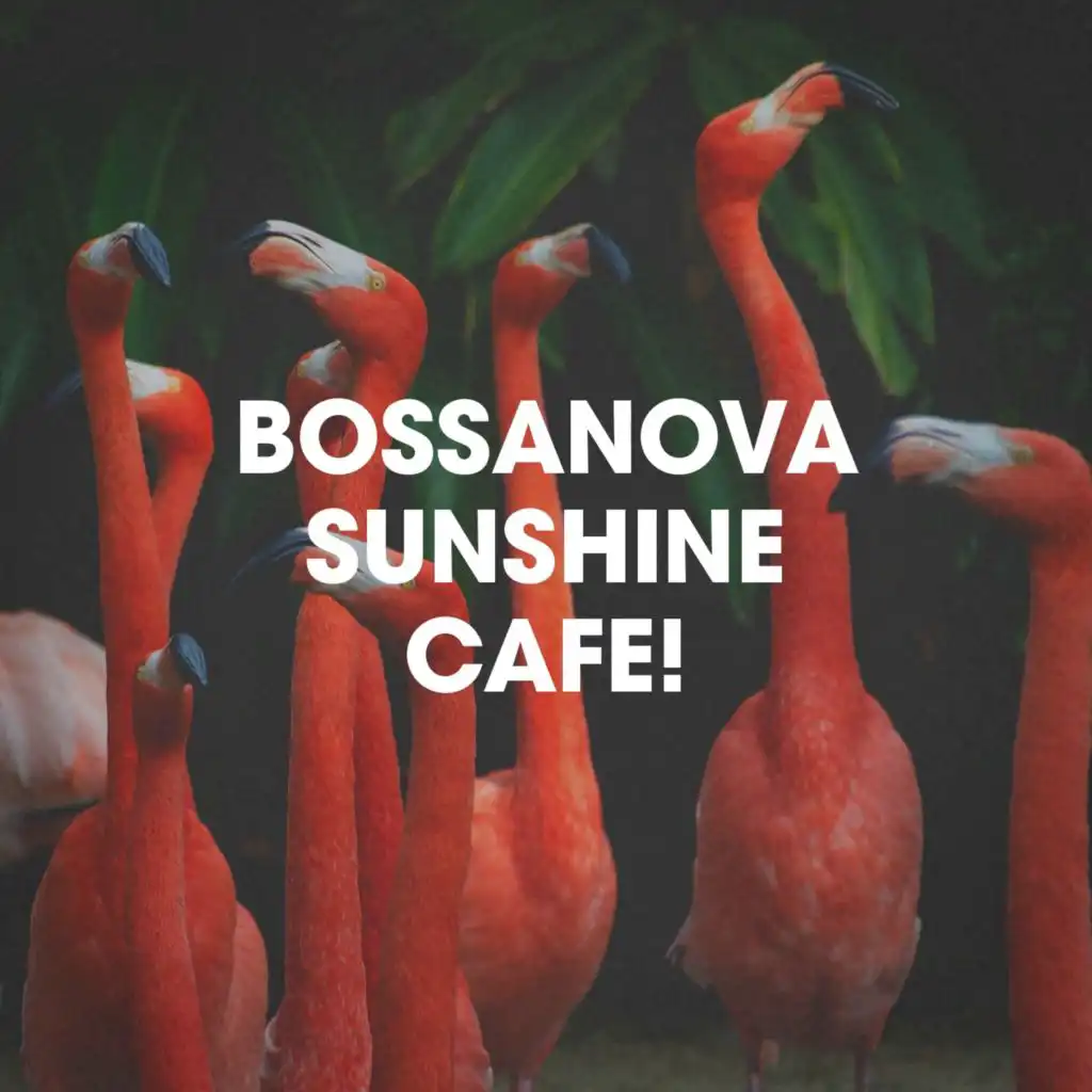 Bossanova Sunshine Cafe!