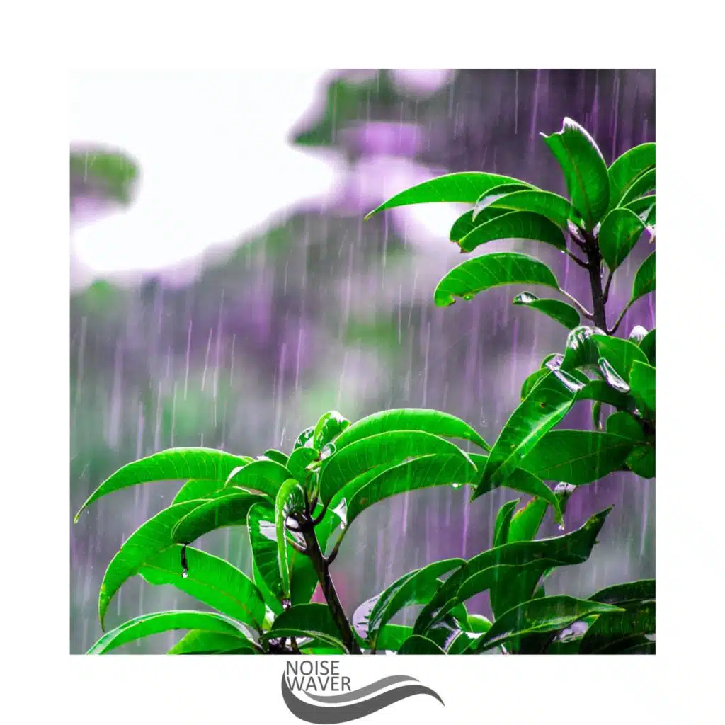 Energy Rain Sound