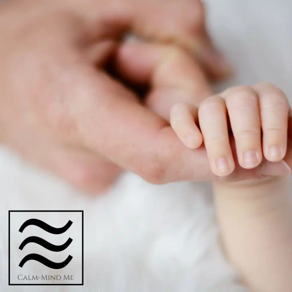 Babies White Noise Shusher