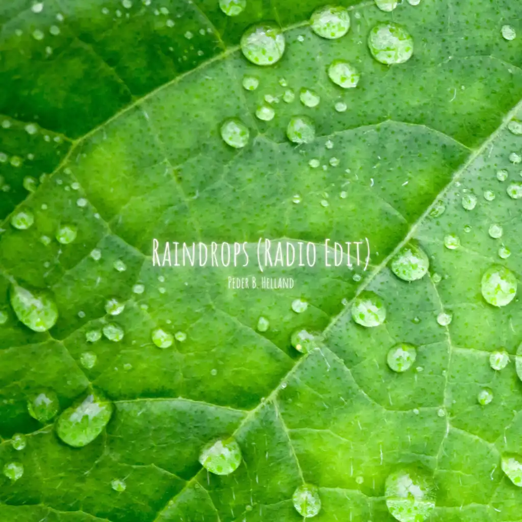 Raindrops (Radio Edit)