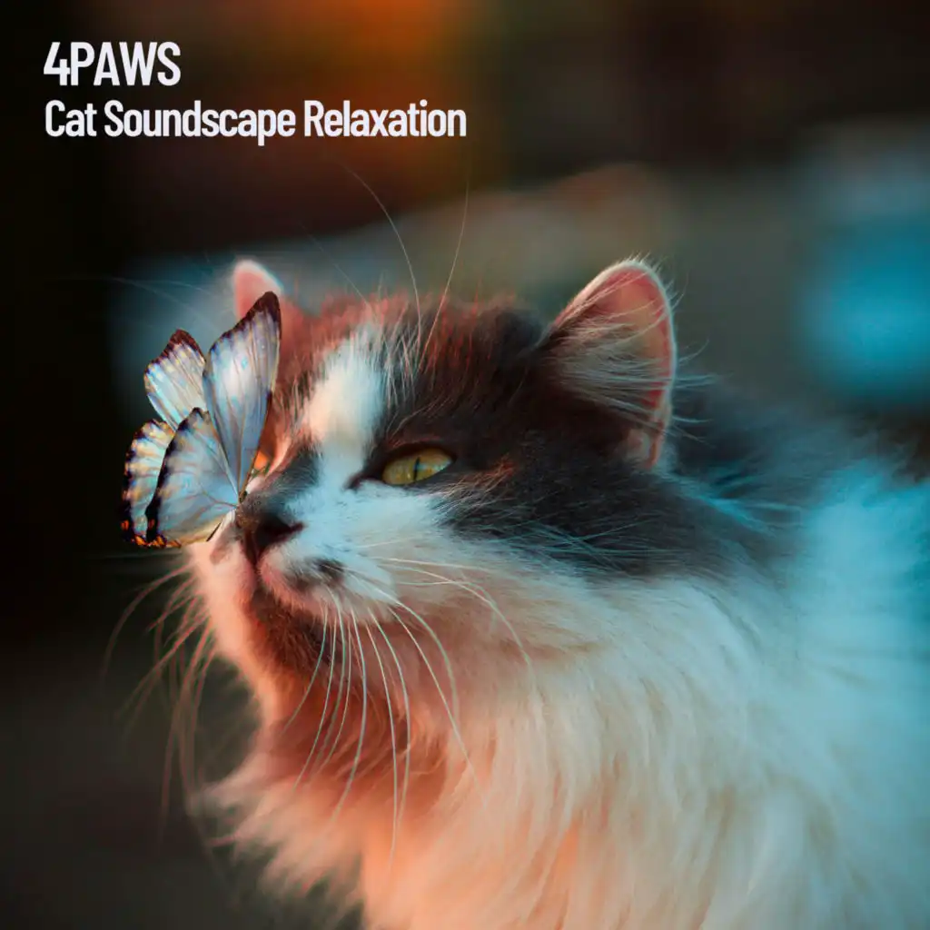 4Paws: Cat Soundscape Relaxation
