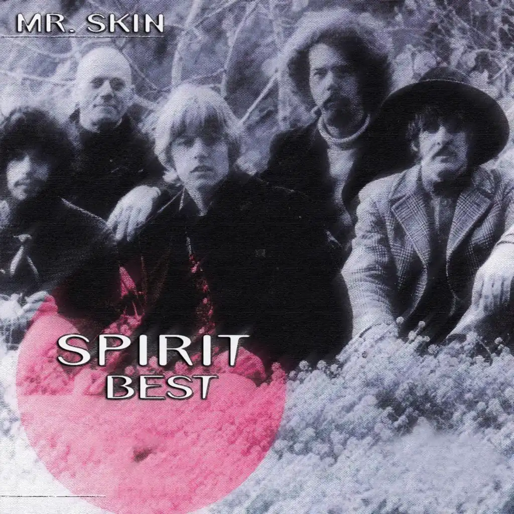 Mr. Skin - Spirit Best