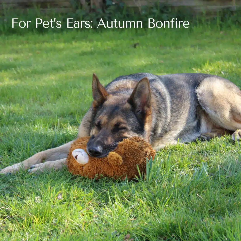 Soothing Sounds of Fire