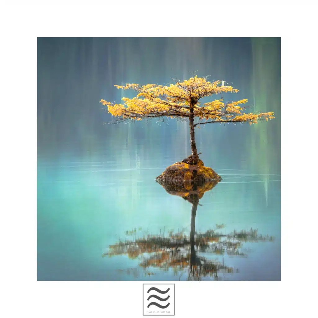 Tranquility Zone
