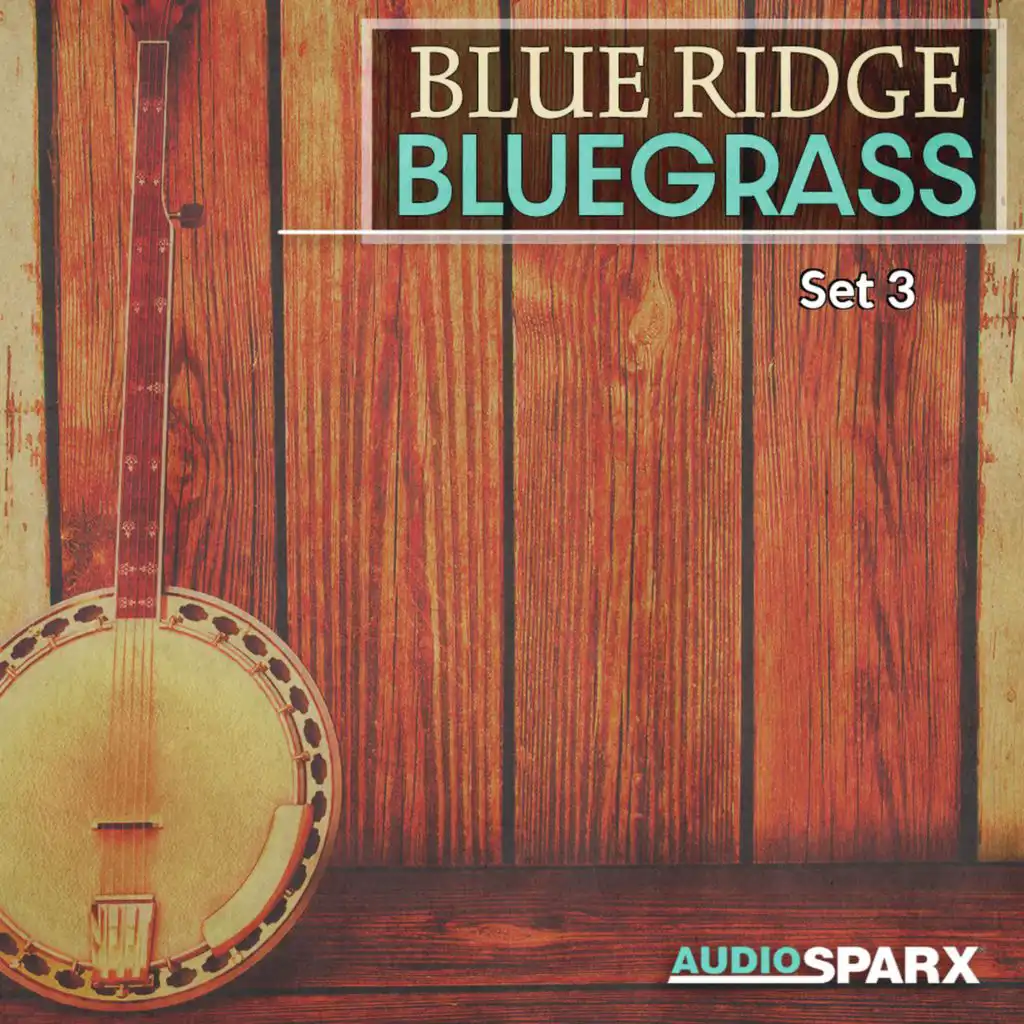 Blue Ridge Bluegrass, Set 3