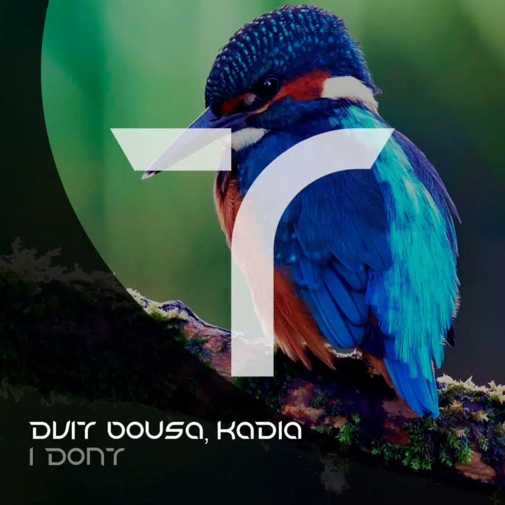Dvit Bousa & Kadia