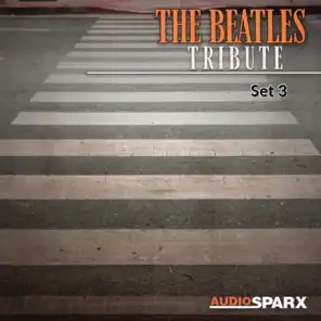 The Beatles Tribute, Set 3