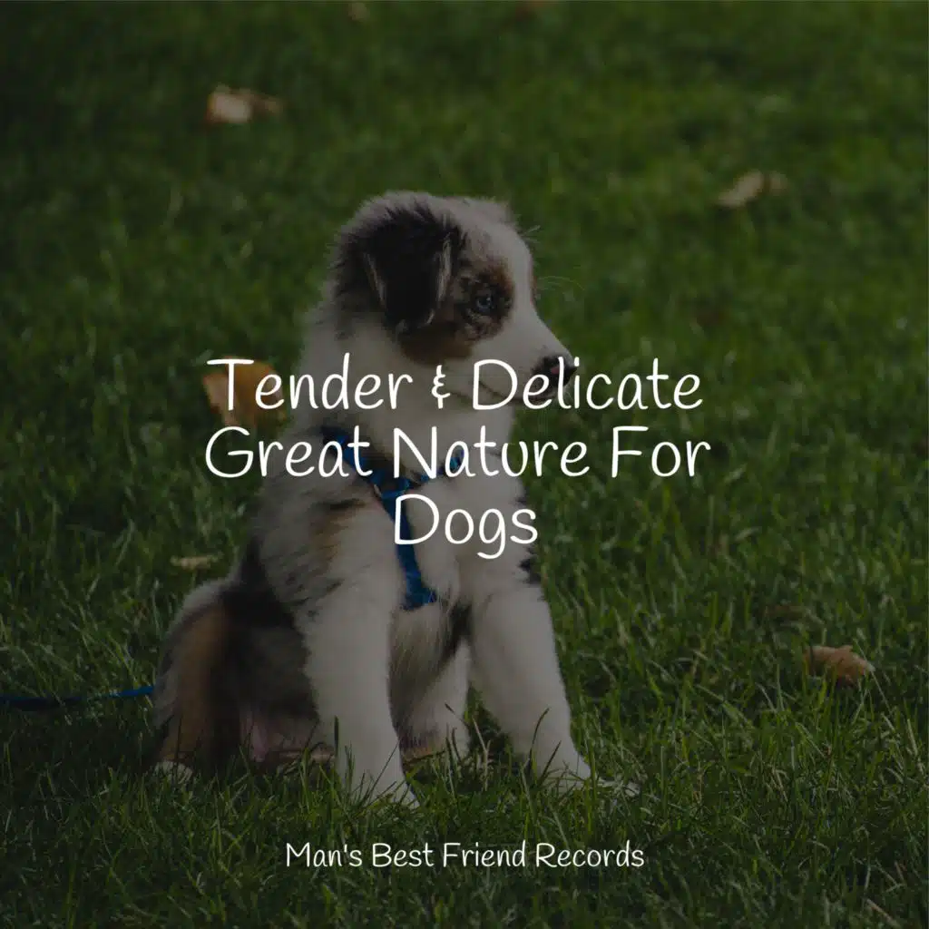 Relaxation Meditation