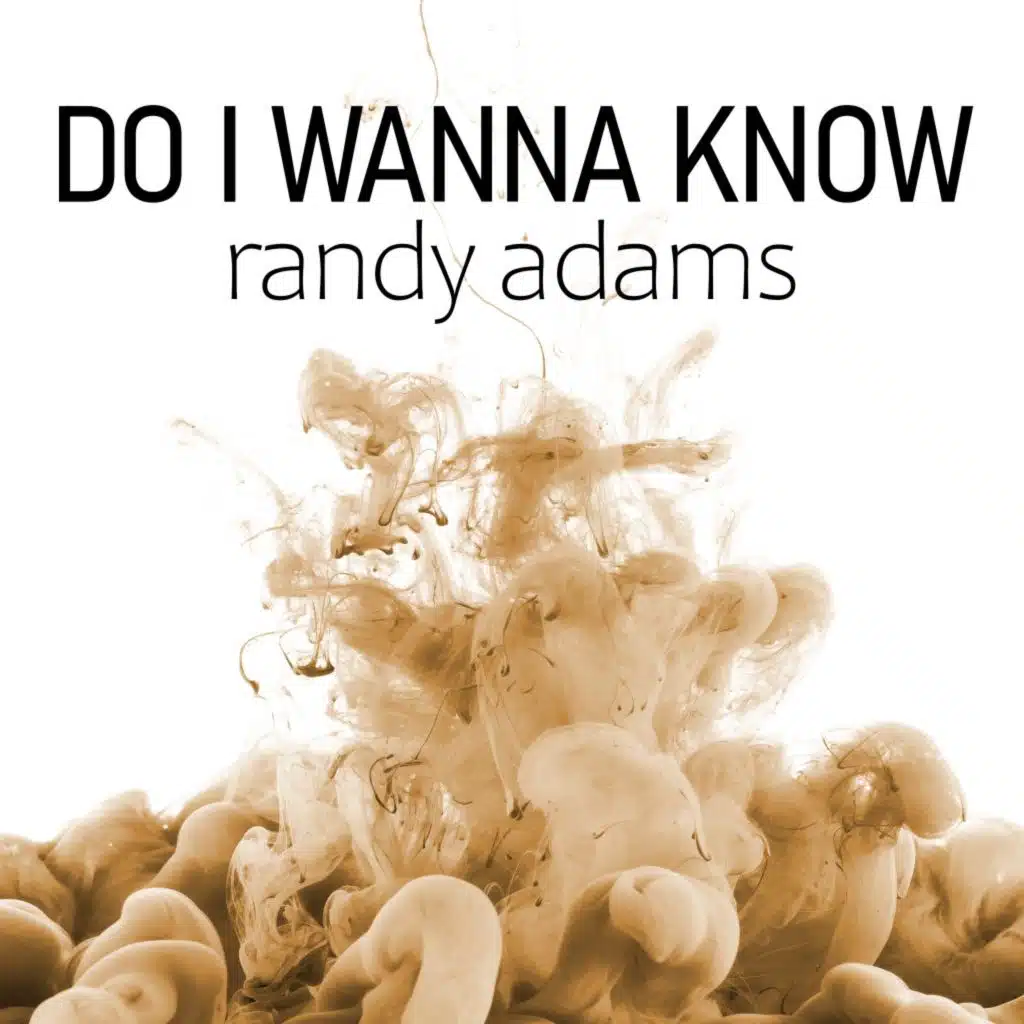 Do I Wanna Know