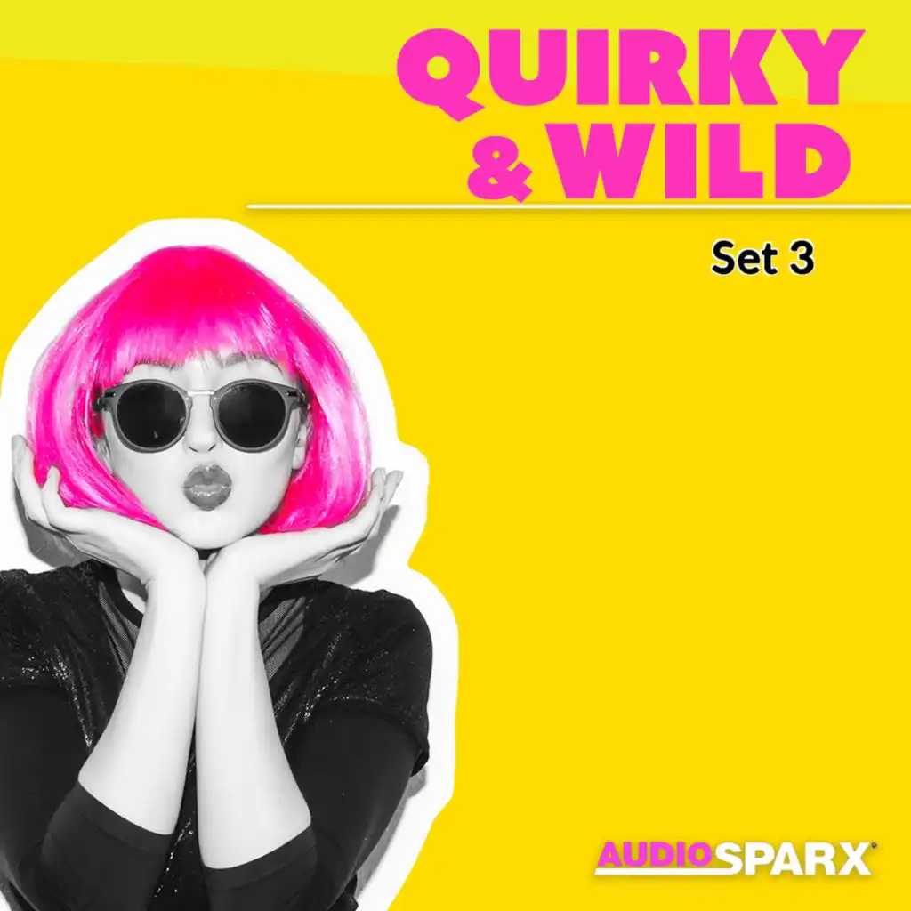 Quirky & Wild, Set 3