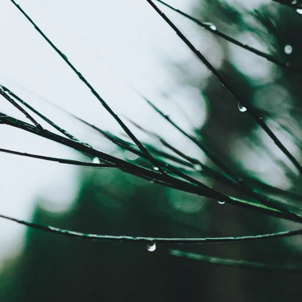 Pouring Rain Relax