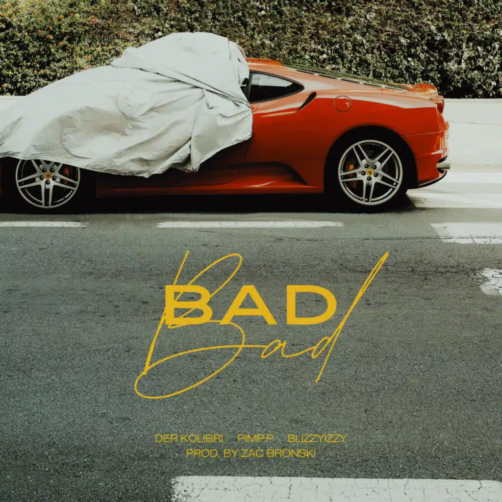 Der Kolibri, PIMP.P & BlizzyIzzy