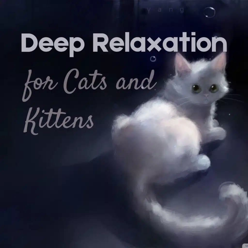 Pet Music