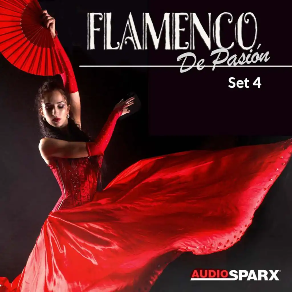 Flamenco de Pasión, Set 4