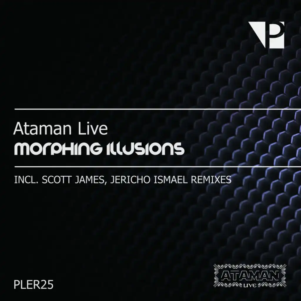 Morphing Illusions (Scott James Remix)