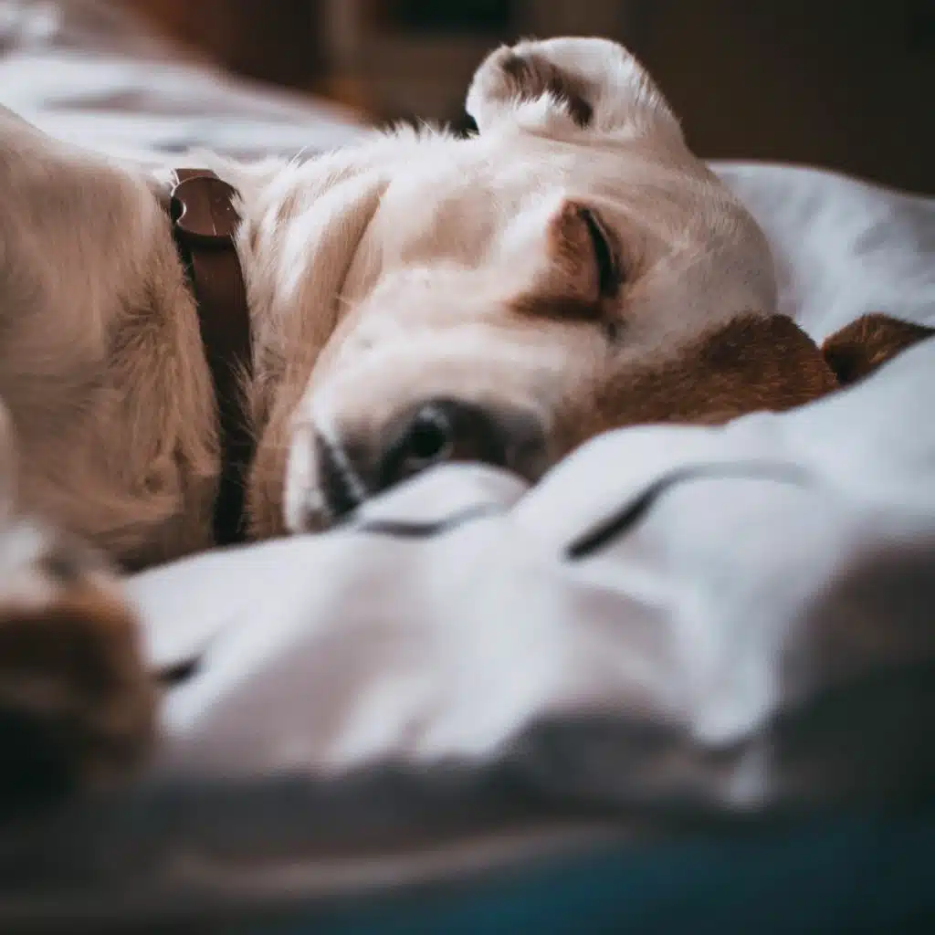 Fine Working Noises for Calm&Sleep