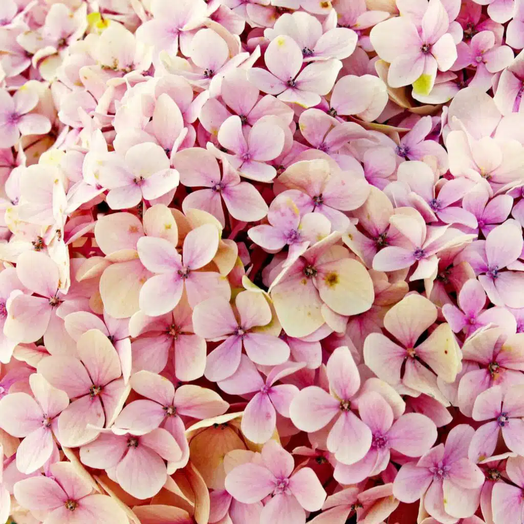 Very Satisfying Noise for Confortable Break