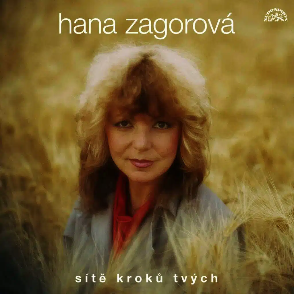 Sláva je bál (Niech žyje bal)