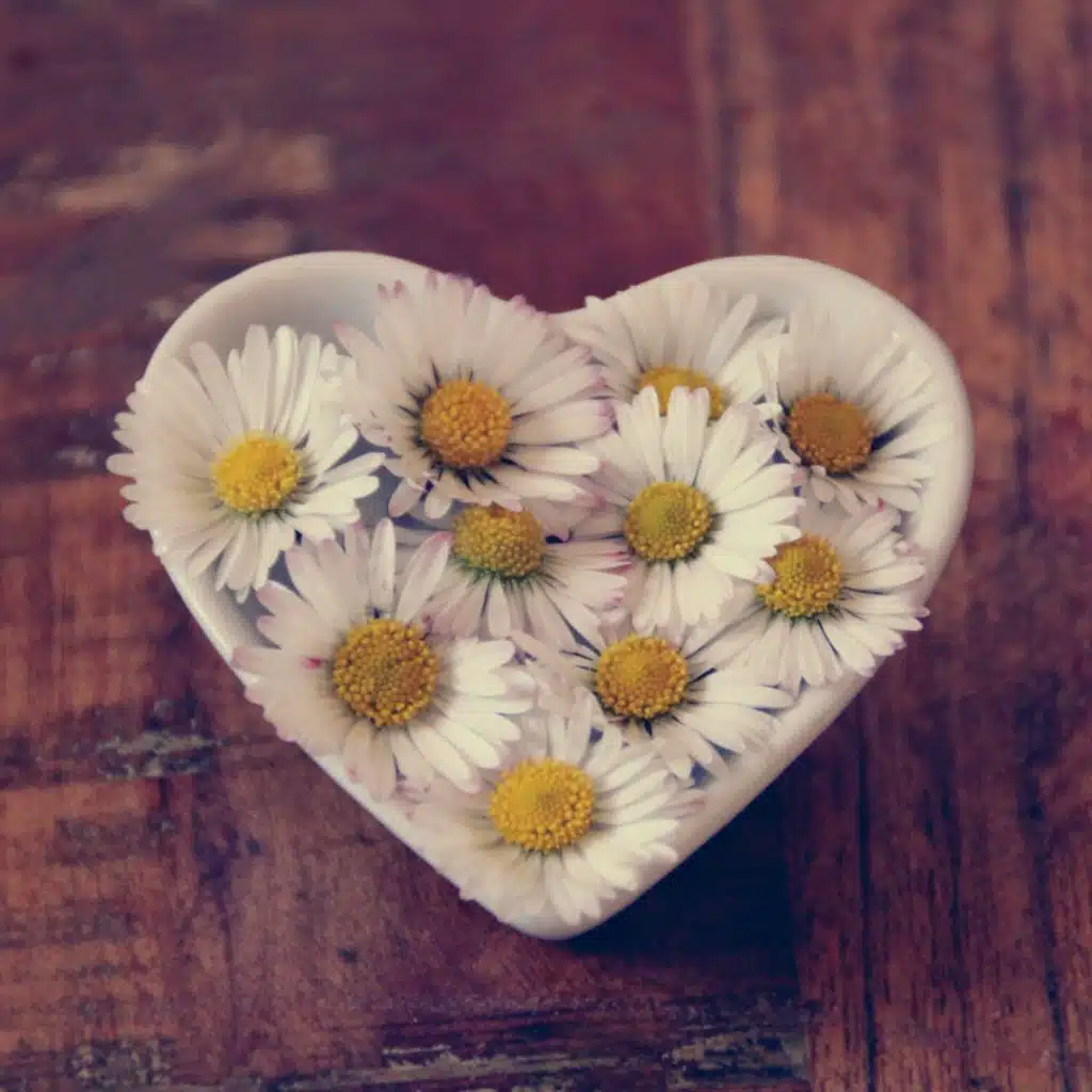 Brown Noise for Rest and Relaxation – Great Calming Noises (Loopable)