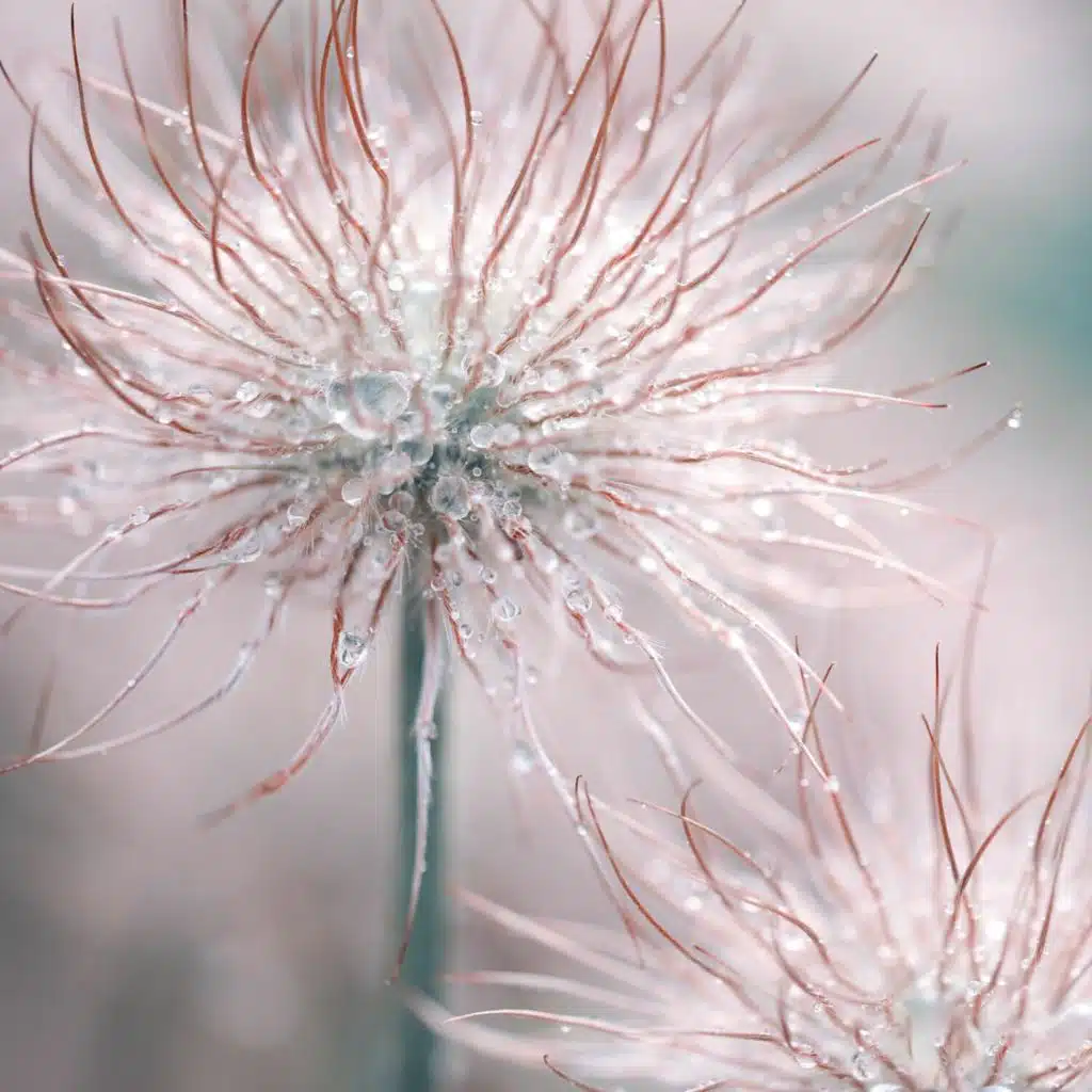 Relaxing Lull for Little Kids