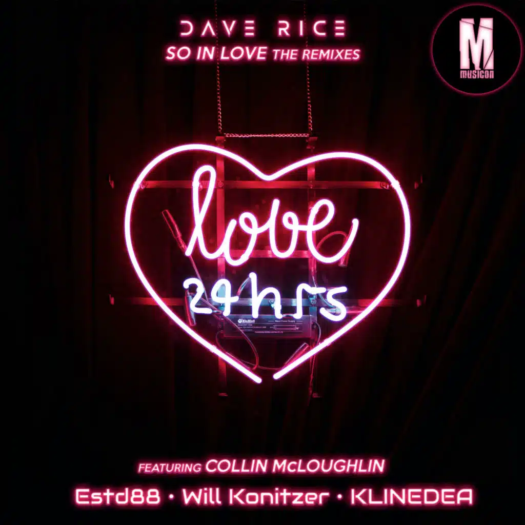 So in Love (Will Konitzer Remix) [feat. Collin McLoughlin]