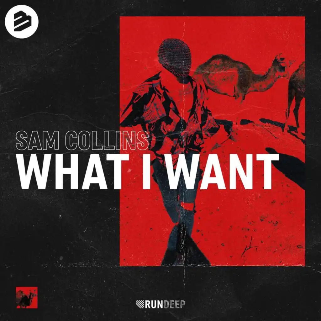 What I Want (Extended Mix)