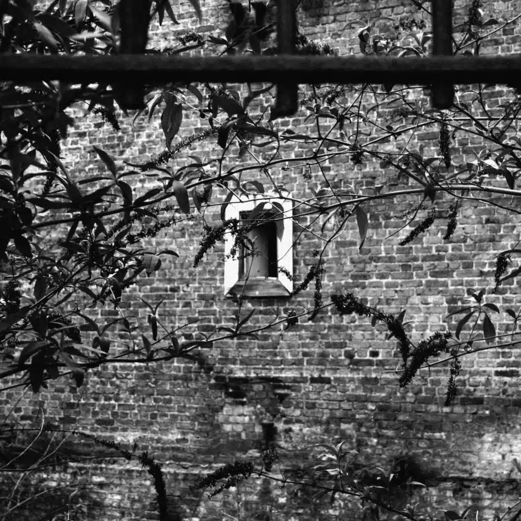 Blackhall & Bookless