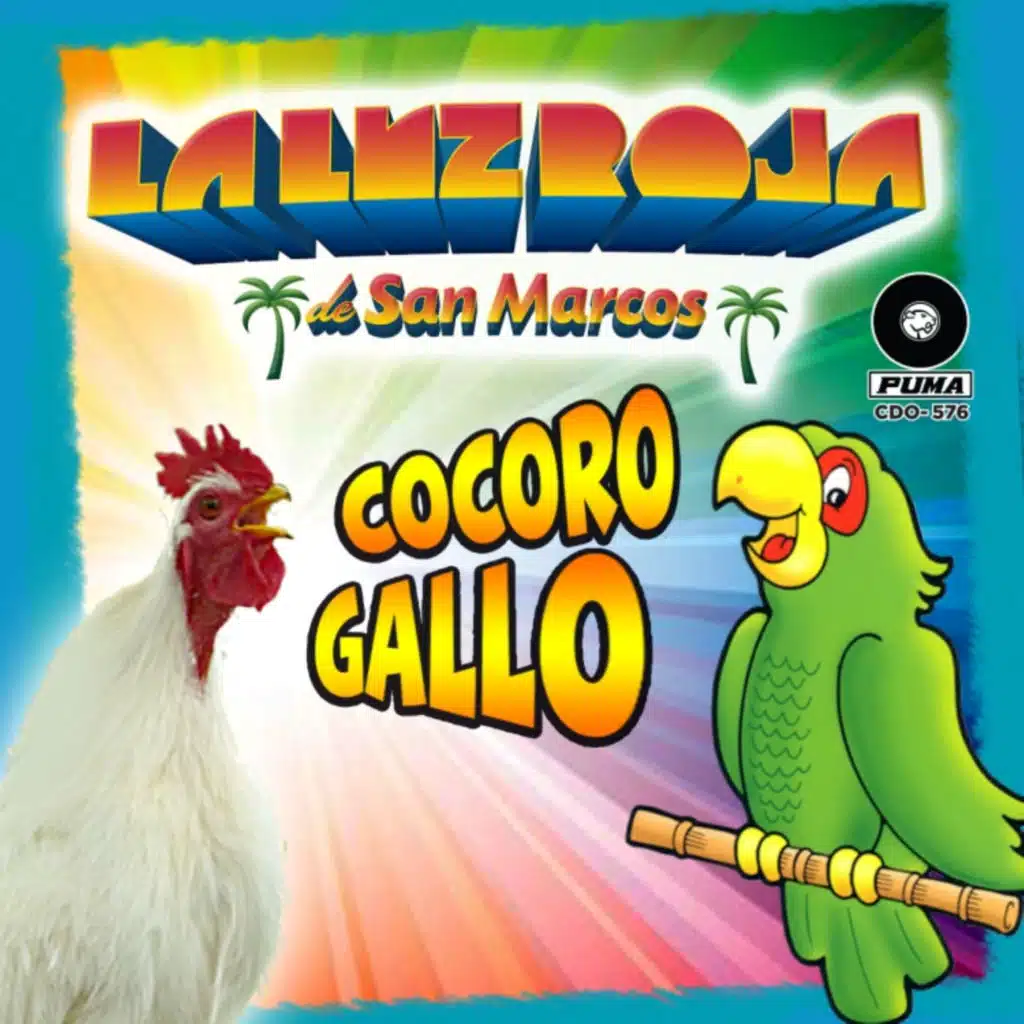 Cocoro Gallo