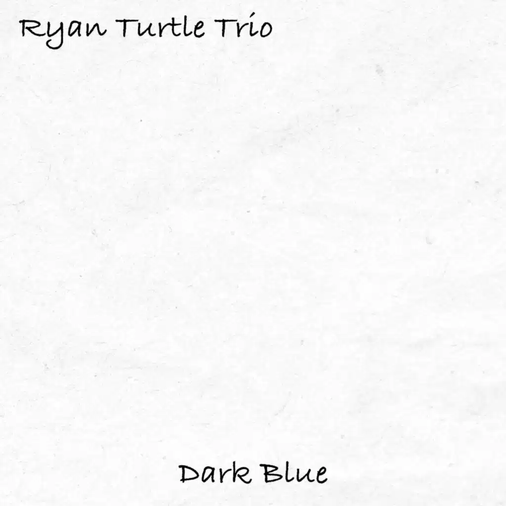 Ryan Turtle Trio