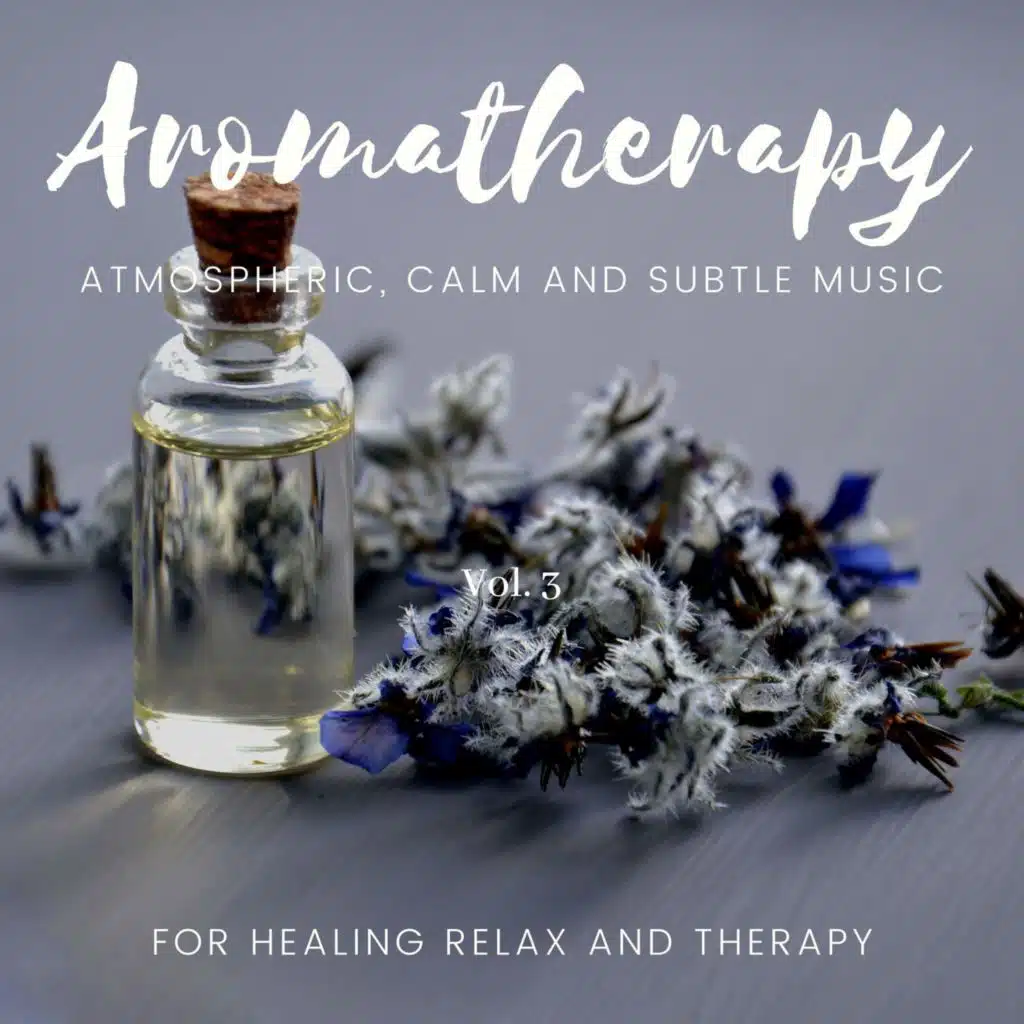 Meditation On Mount Fuji (Underscore)