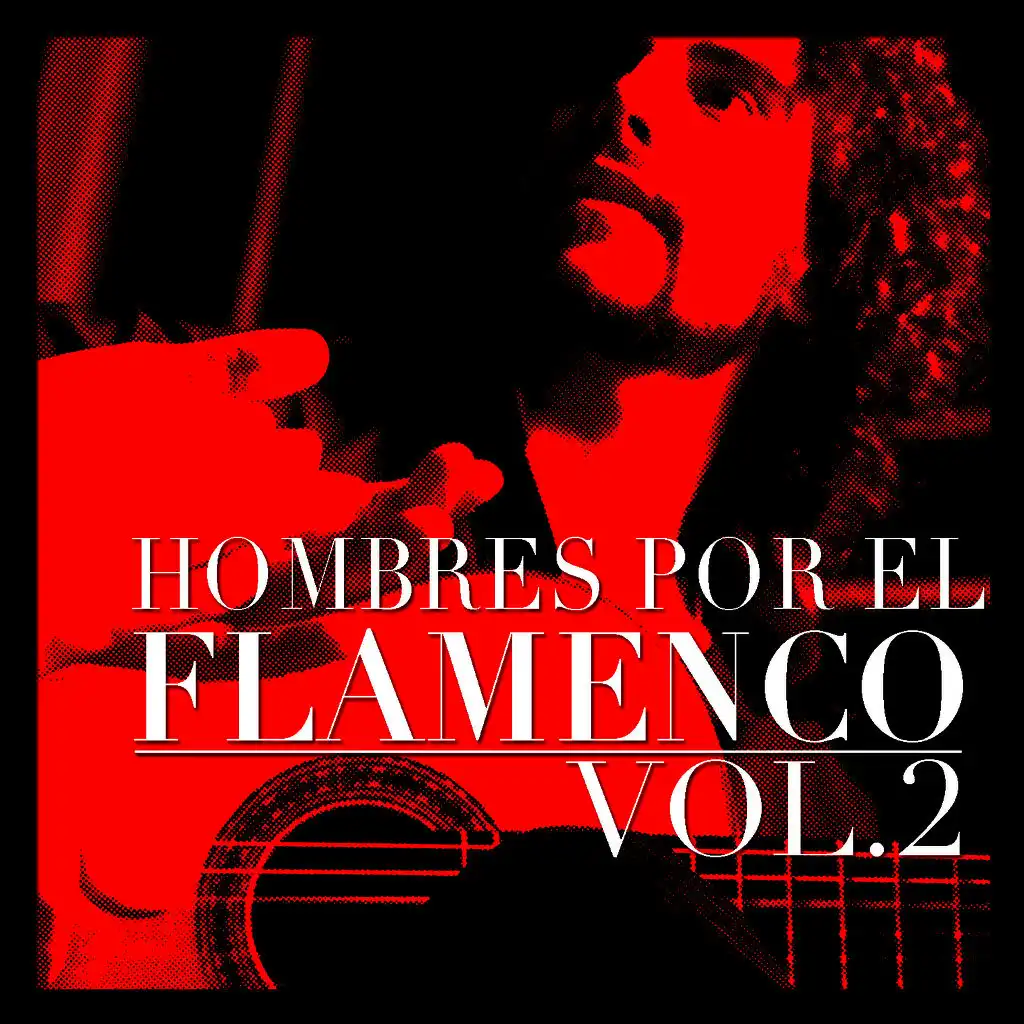 Hombres por el Flamenco Vol.2