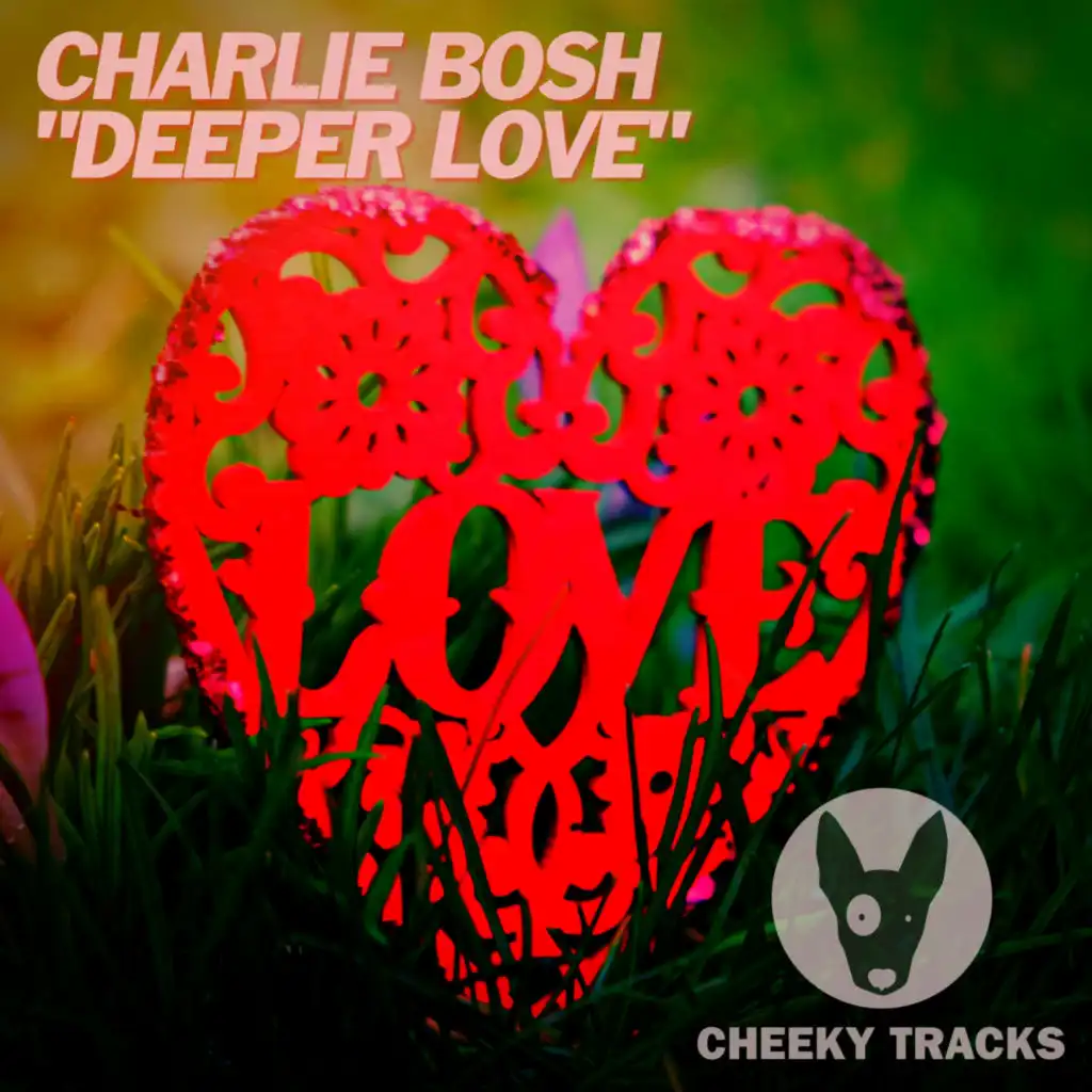 Deeper Love (Radio Edit)