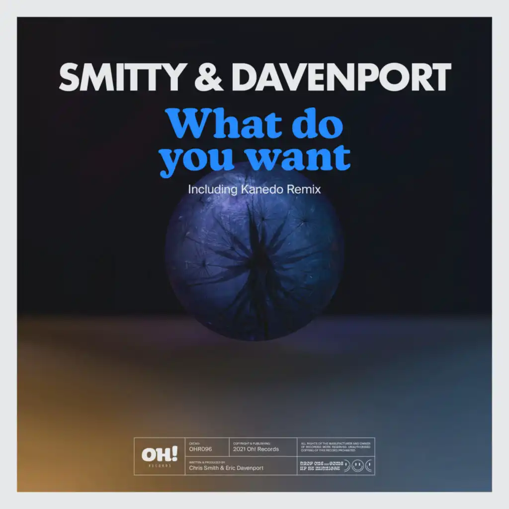 What Do You Want (Davenport Dub) [feat. Eric Davenport]