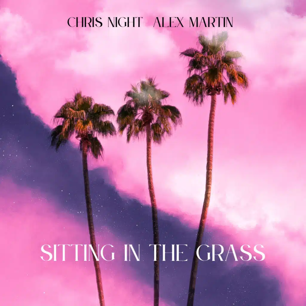 Sitting In The Grass (Instrumental)