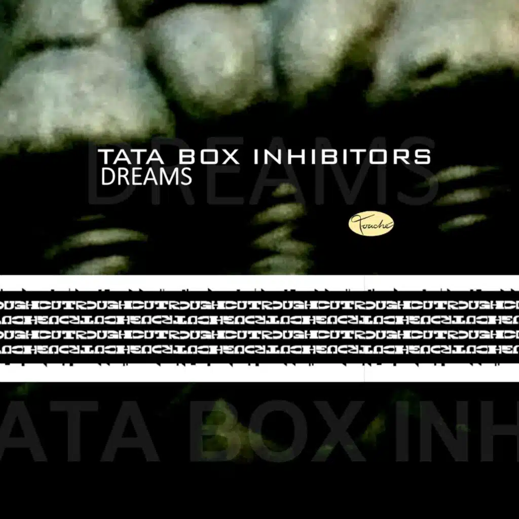Tata Box Inhibitors