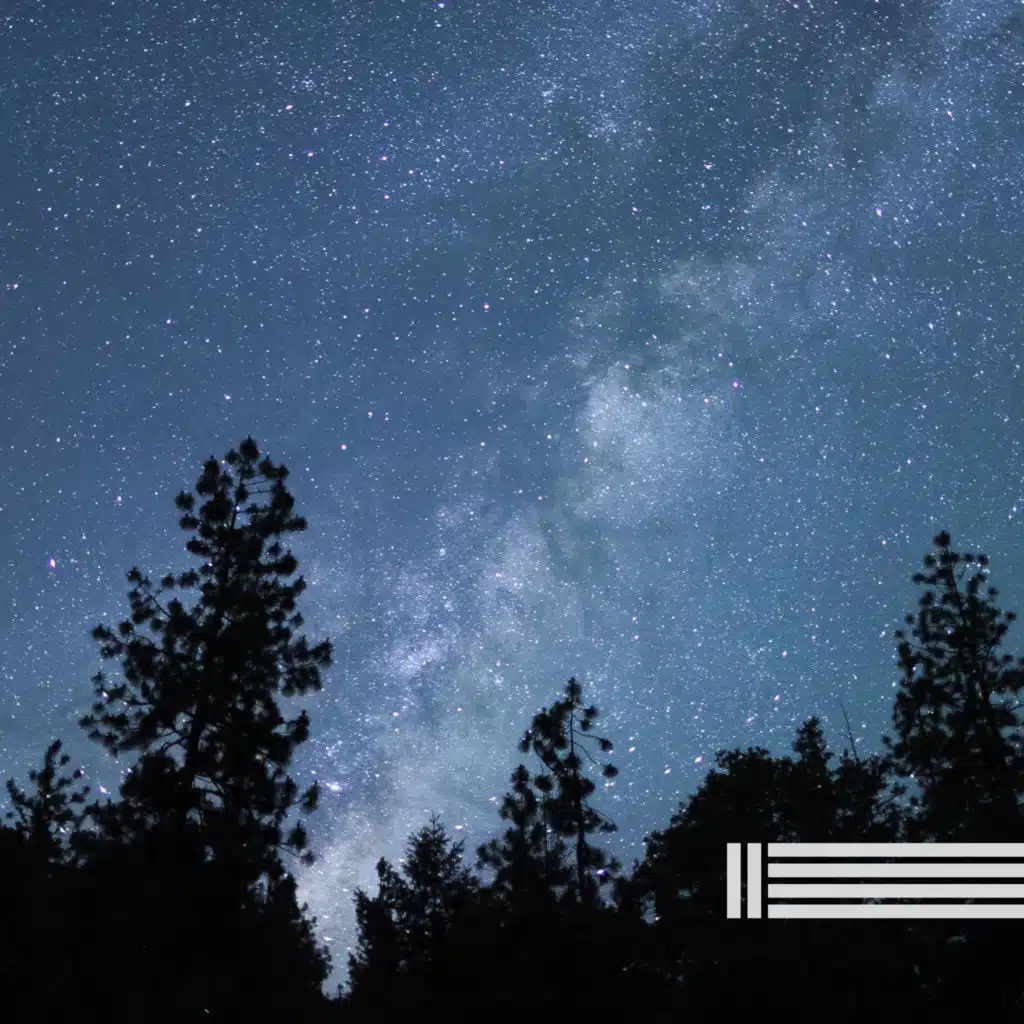 Night Crickets & Cicadas (Loopable)