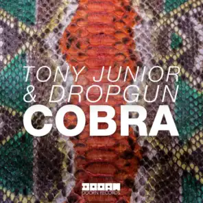 Tony Junior & Dropgun