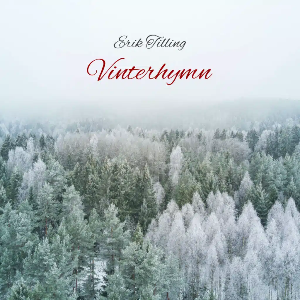 Vinterhymn (feat. Erik Lundh)
