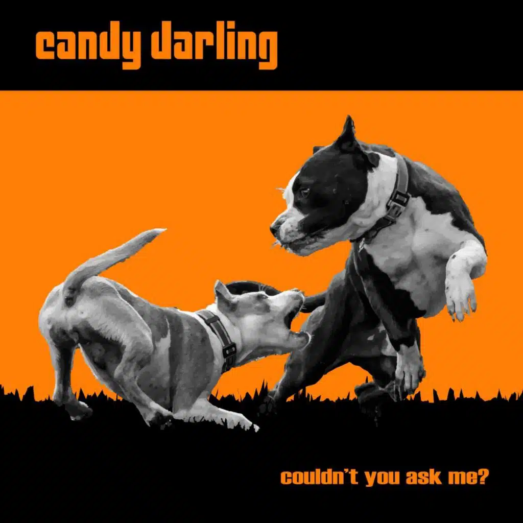 Couldn't You Ask Me?