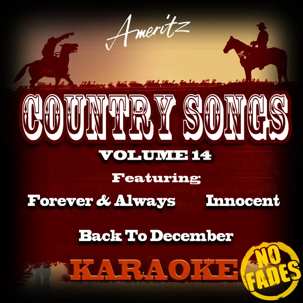 Karaoke - Country Songs Vol. 14