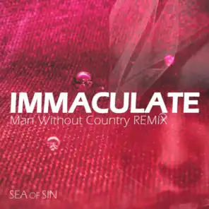 Immaculate (feat. Man Without Country) (Man Without Country Remix)