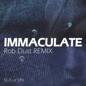 Immaculate (feat. Rob Dust) (Rob Dust Remix)