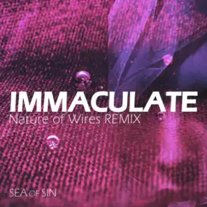Immaculate (feat. Nature of Wires) (Nature of Wires Remix)