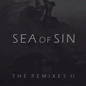 The Remixes II