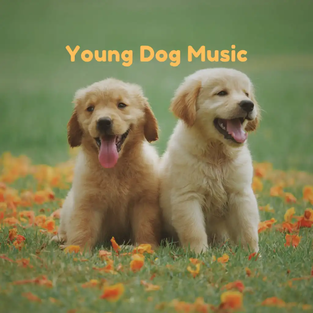 Young Dog Music