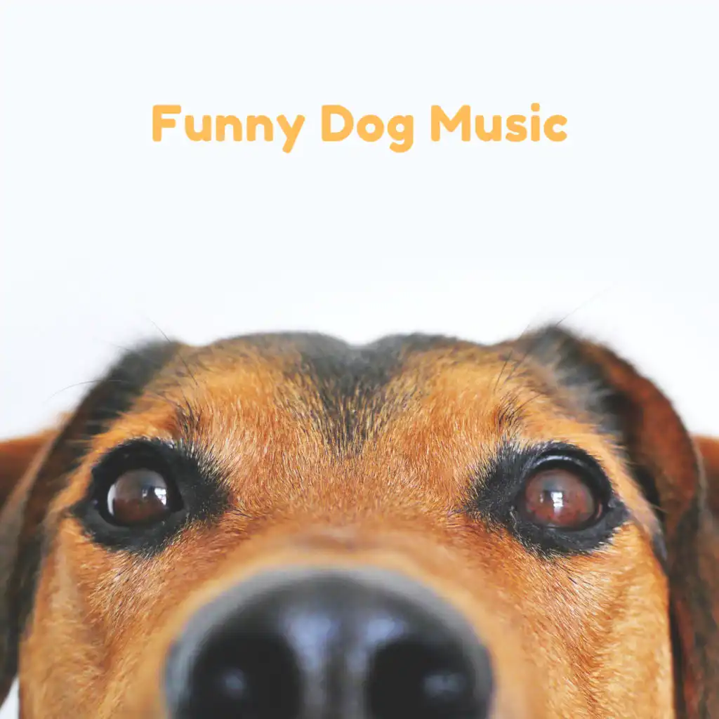 Funny Dog Music