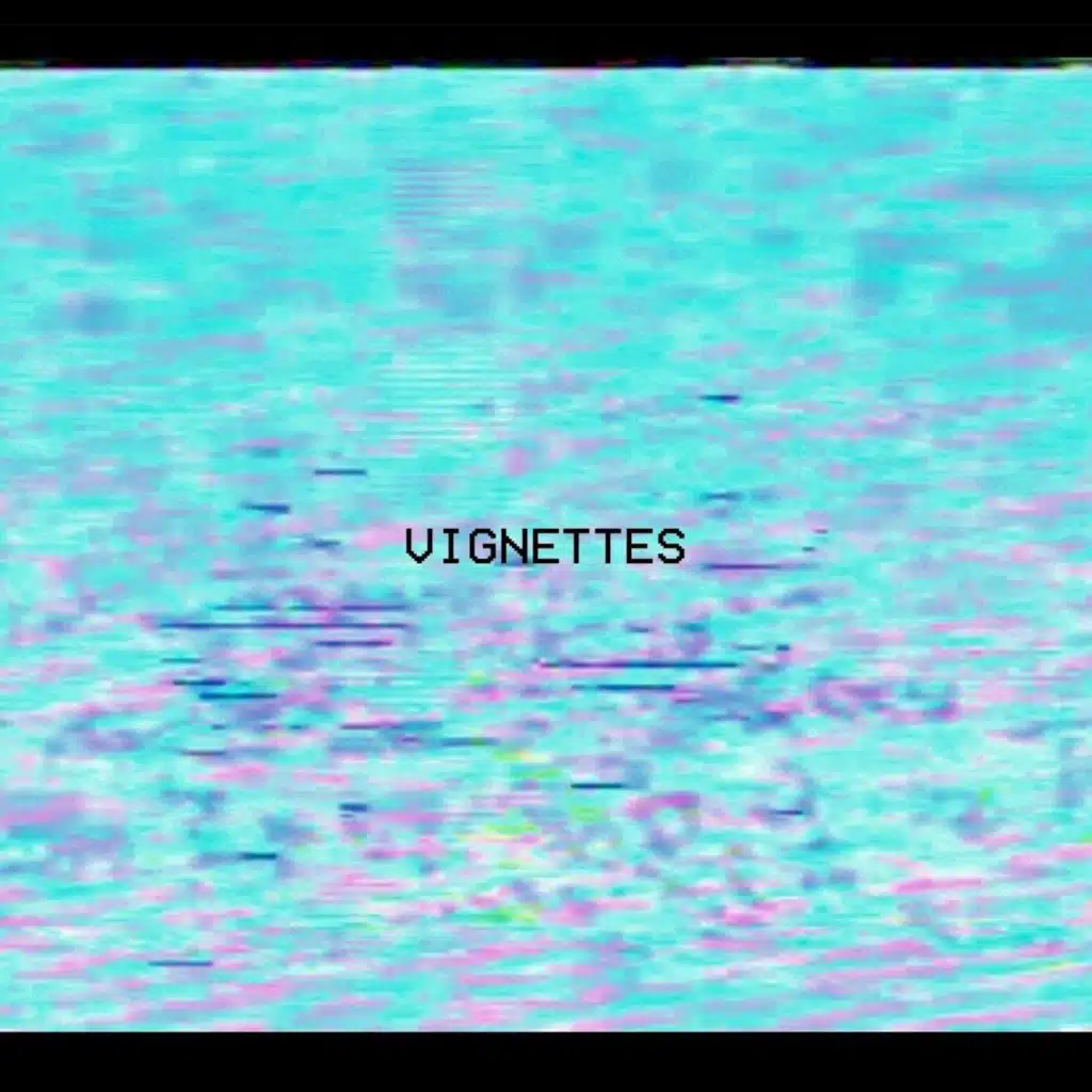 Vignettes