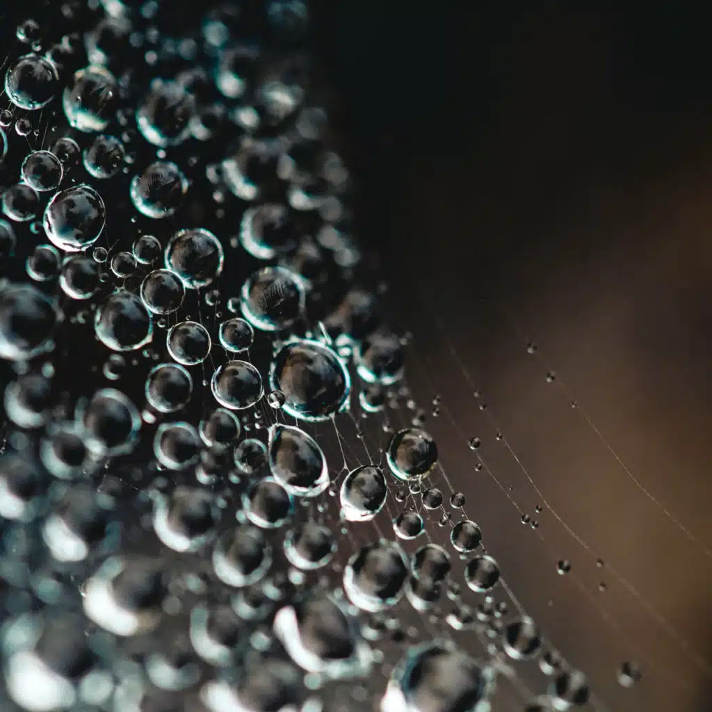 25 Colección Tranquil Para Dormir