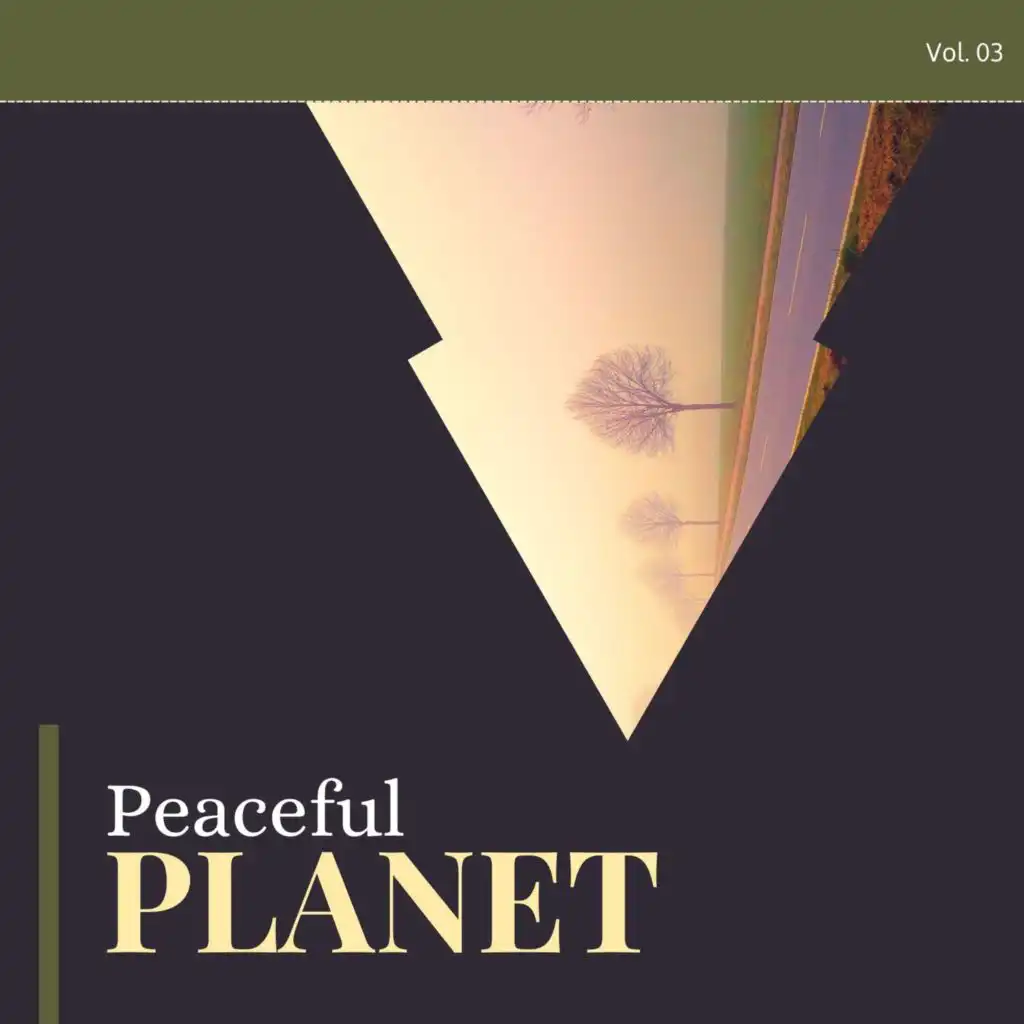 Peaceful Planet, Vol.3