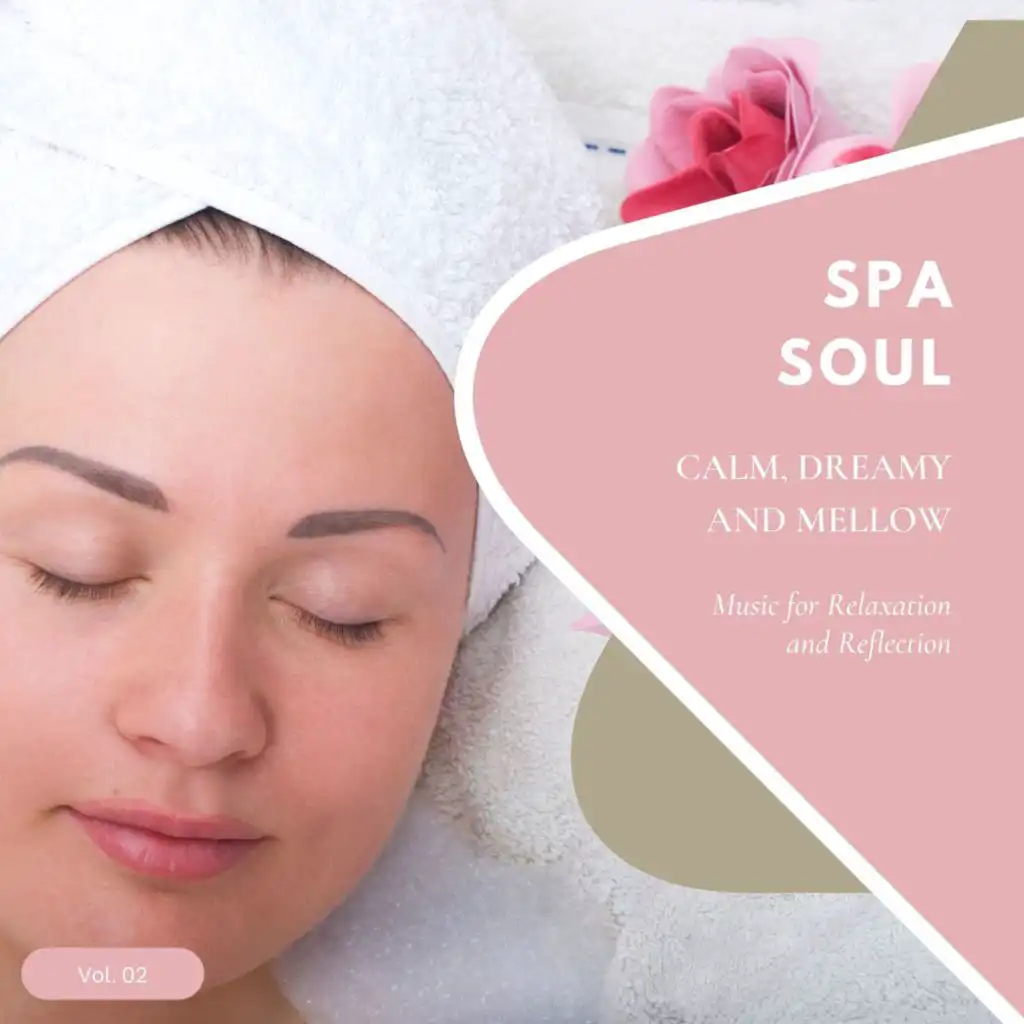 Spa Soul - Calm, Dreamy And Mellow Music For Relaxation And Reflextion, Vol. 02
